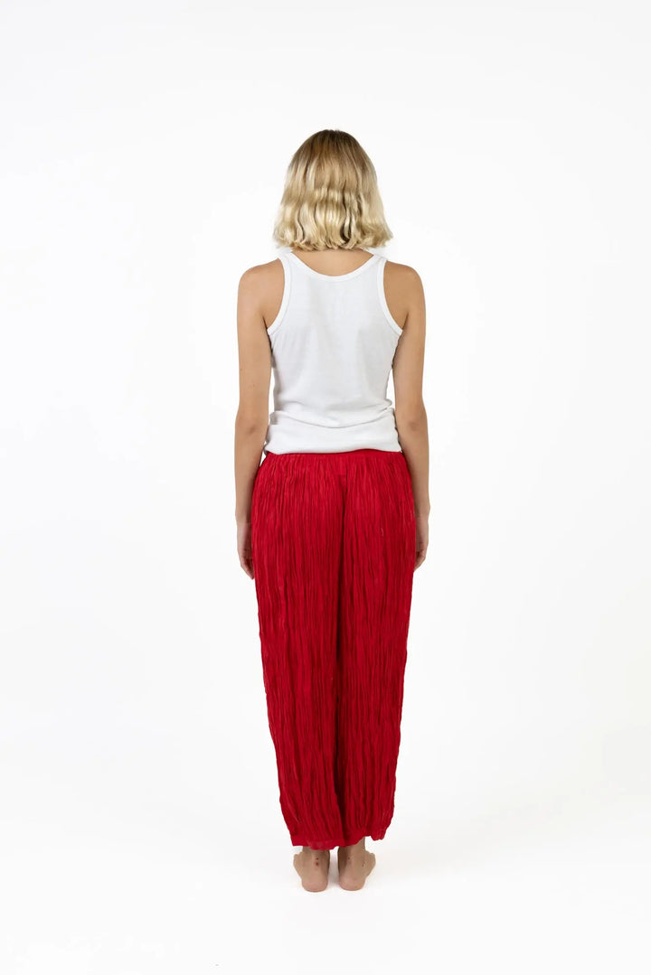 Parachute Pants - Gps Notre Dame de Paris Kilometre Paris
