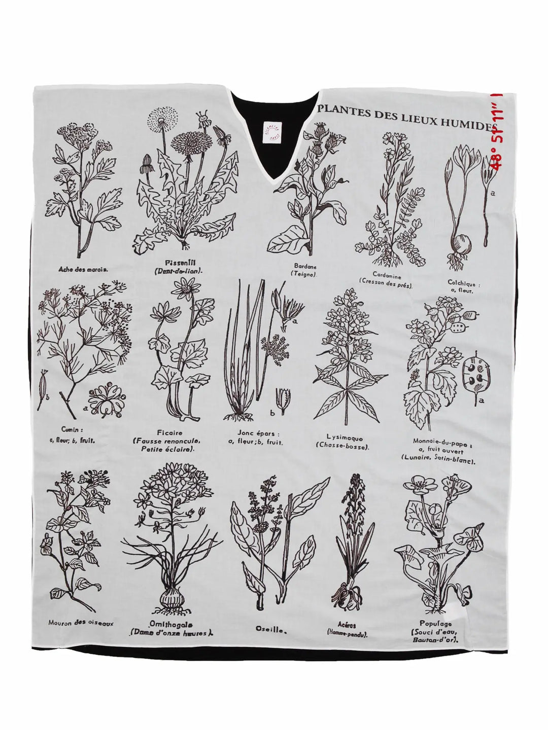 Plantes des Lieux Humides - Kaftan Kaftan