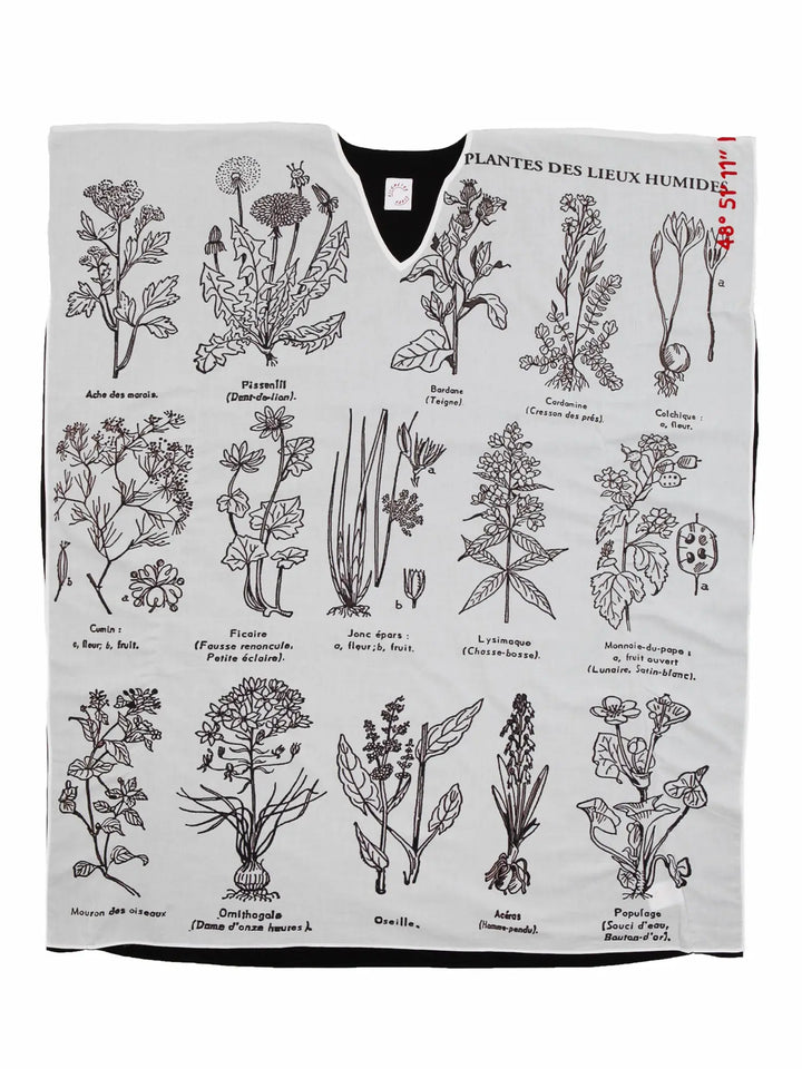 Plantes des Lieux Humides - Kaftan Kaftan